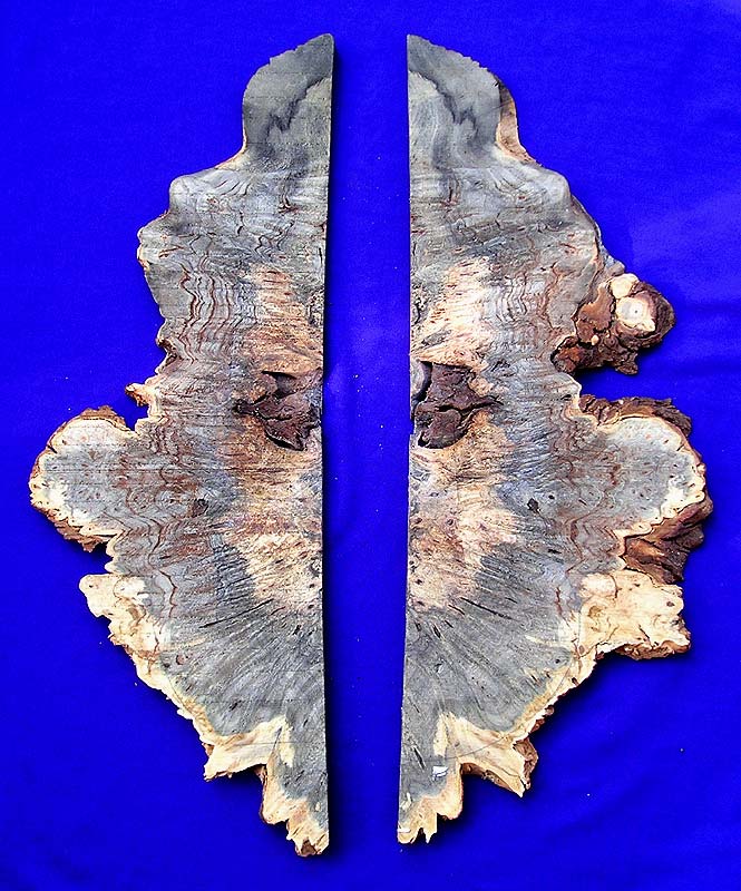 Buckeye Burl Topset