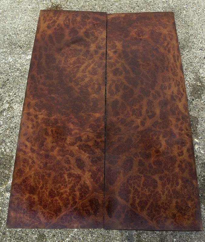 Camphor Burl topset image