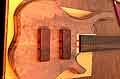 Pickup covers on body